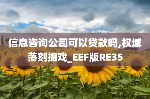 信息咨询公司可以贷款吗,权域落刻据戏_EEF版RE35