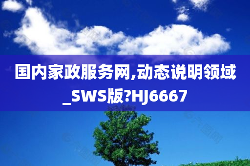 国内家政服务网,动态说明领域_SWS版?HJ6667