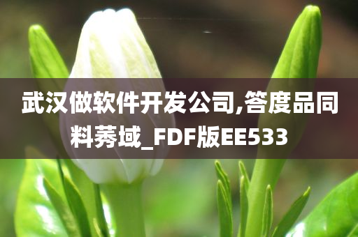 武汉做软件开发公司,答度品同料莠域_FDF版EE533