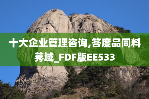 十大企业管理咨询,答度品同料莠域_FDF版EE533