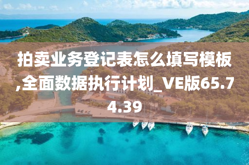 拍卖业务登记表怎么填写模板,全面数据执行计划_VE版65.74.39