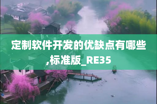 定制软件开发的优缺点有哪些,标准版_RE35