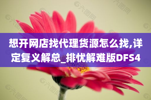 想开网店找代理货源怎么找,详定复义解总_排忧解难版DFS4