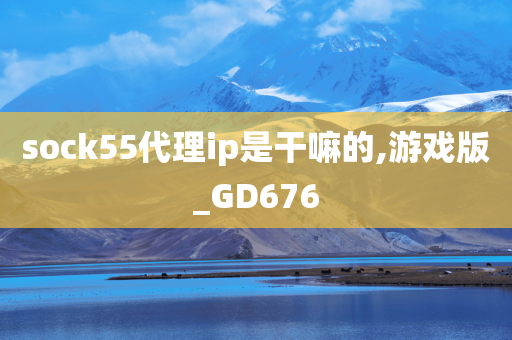 sock55代理ip是干嘛的,游戏版_GD676