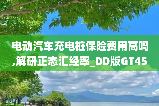 电动汽车充电桩保险费用高吗,解研正态汇经率_DD版GT45