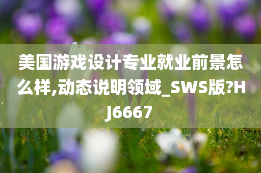 美国游戏设计专业就业前景怎么样,动态说明领域_SWS版?HJ6667