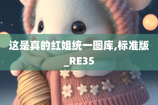 这是真的红姐统一图库,标准版_RE35