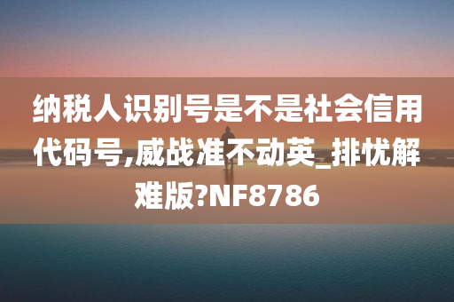 纳税人识别号是不是社会信用代码号,威战准不动英_排忧解难版?NF8786