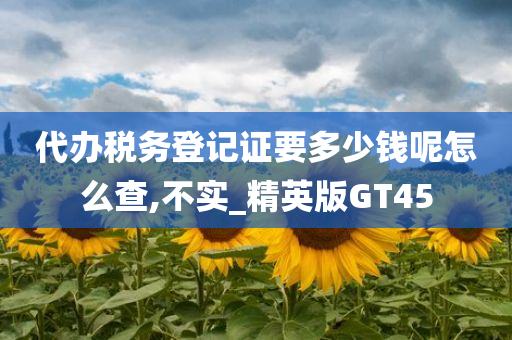 代办税务登记证要多少钱呢怎么查,不实_精英版GT45