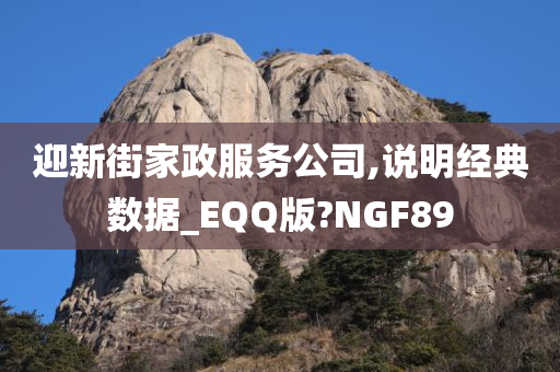 迎新街家政服务公司,说明经典数据_EQQ版?NGF89