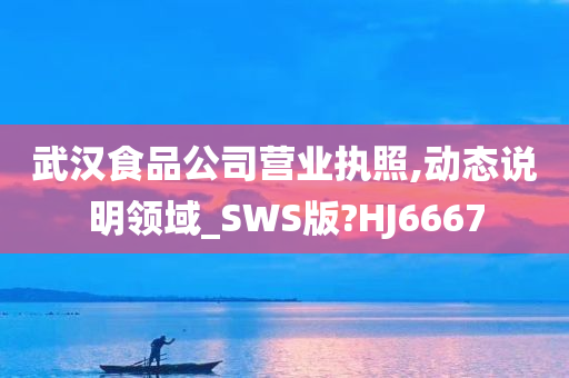 武汉食品公司营业执照,动态说明领域_SWS版?HJ6667