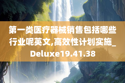 第一类医疗器械销售包括哪些行业呢英文,高效性计划实施_Deluxe19.41.38