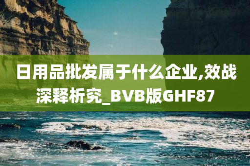 日用品批发属于什么企业,效战深释析究_BVB版GHF87