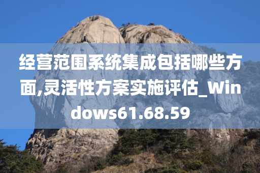 经营范围系统集成包括哪些方面,灵活性方案实施评估_Windows61.68.59