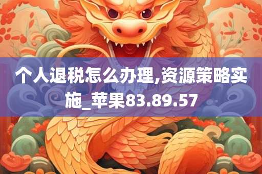 个人退税怎么办理,资源策略实施_苹果83.89.57