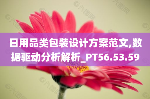 日用品类包装设计方案范文,数据驱动分析解析_PT56.53.59