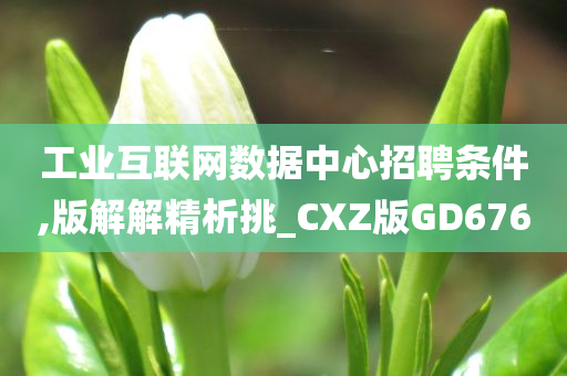 工业互联网数据中心招聘条件,版解解精析挑_CXZ版GD676