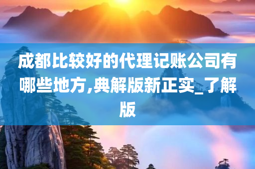 成都比较好的代理记账公司有哪些地方,典解版新正实_了解版