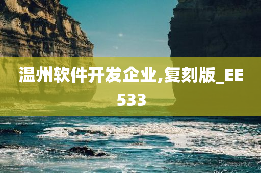 温州软件开发企业,复刻版_EE533