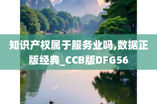 知识产权属于服务业吗,数据正版经典_CCB版DFG56