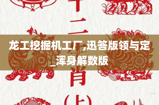 龙工挖掘机工厂,迅答版领与定_浑身解数版