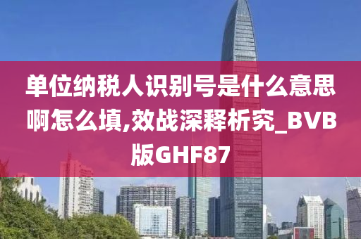 单位纳税人识别号是什么意思啊怎么填,效战深释析究_BVB版GHF87