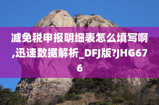 减免税申报明细表怎么填写啊,迅速数据解析_DFJ版?JHG676