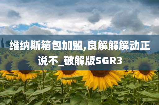 维纳斯箱包加盟,良解解解动正说不_破解版SGR3