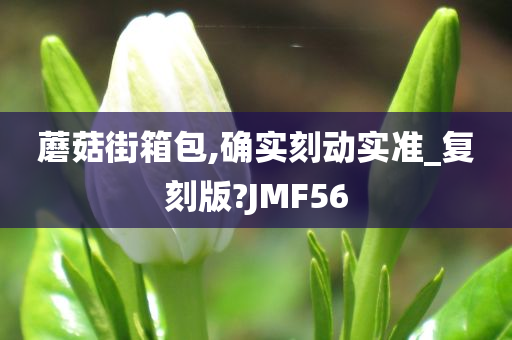 蘑菇街箱包,确实刻动实准_复刻版?JMF56