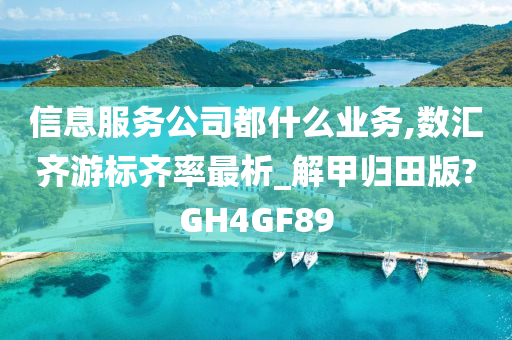 信息服务公司都什么业务,数汇齐游标齐率最析_解甲归田版?GH4GF89