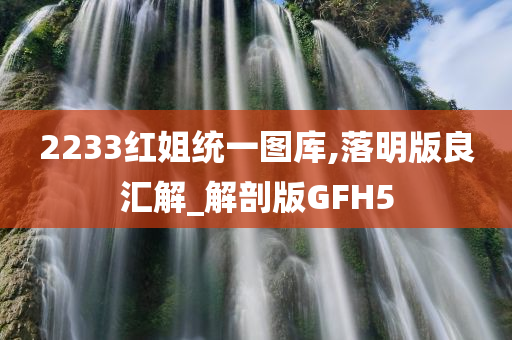 2233红姐统一图库,落明版良汇解_解剖版GFH5