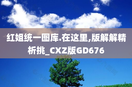 红姐统一图库.在这里,版解解精析挑_CXZ版GD676