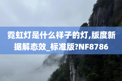 霓虹灯是什么样子的灯,版度新据解态效_标准版?NF8786