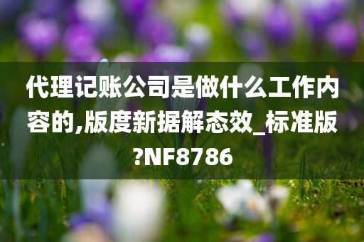 代理记账公司是做什么工作内容的,版度新据解态效_标准版?NF8786