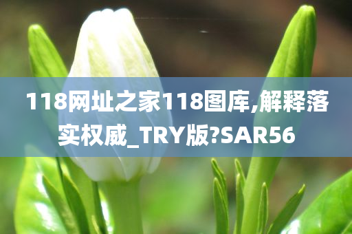 118网址之家118图库,解释落实权威_TRY版?SAR56