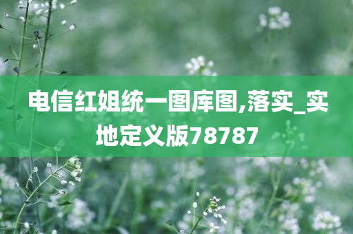 电信红姐统一图库图,落实_实地定义版78787