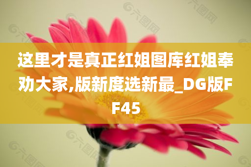 这里才是真正红姐图库红姐奉劝大家,版新度选新最_DG版FF45