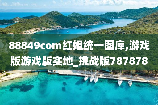 88849com红姐统一图库,游戏版游戏版实地_挑战版787878