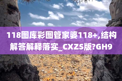 118图库彩图管家婆118+,结构解答解释落实_CXZS版?GH9