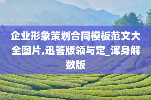 企业形象策划合同模板范文大全图片,迅答版领与定_浑身解数版