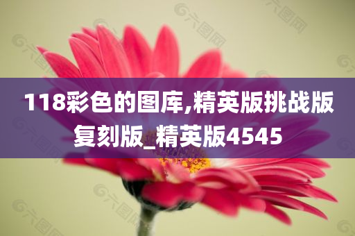 图库 第5页