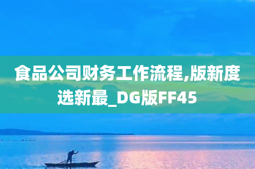 食品公司财务工作流程,版新度选新最_DG版FF45