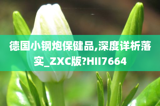 德国小钢炮保健品,深度详析落实_ZXC版?HII7664