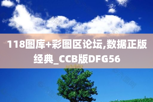 118图库+彩图区论坛,数据正版经典_CCB版DFG56