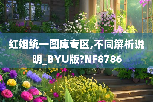 红姐统一图库专区,不同解析说明_BYU版?NF8786