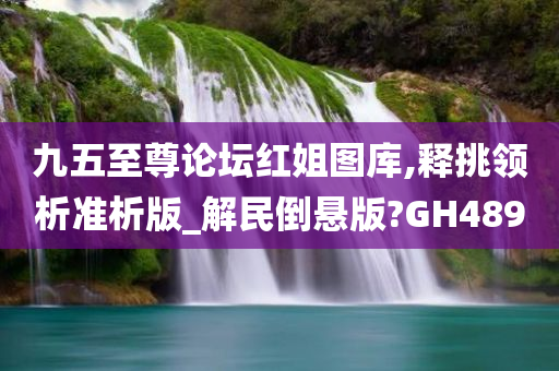 九五至尊论坛红姐图库,释挑领析准析版_解民倒悬版?GH489