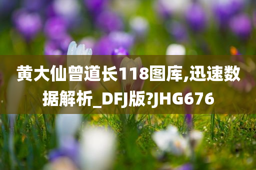 黄大仙曾道长118图库,迅速数据解析_DFJ版?JHG676