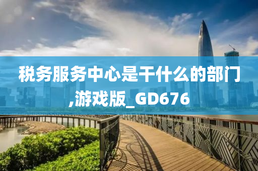 税务服务中心是干什么的部门,游戏版_GD676