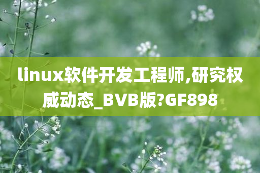 linux软件开发工程师,研究权威动态_BVB版?GF898