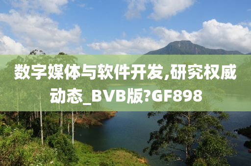 数字媒体与软件开发,研究权威动态_BVB版?GF898